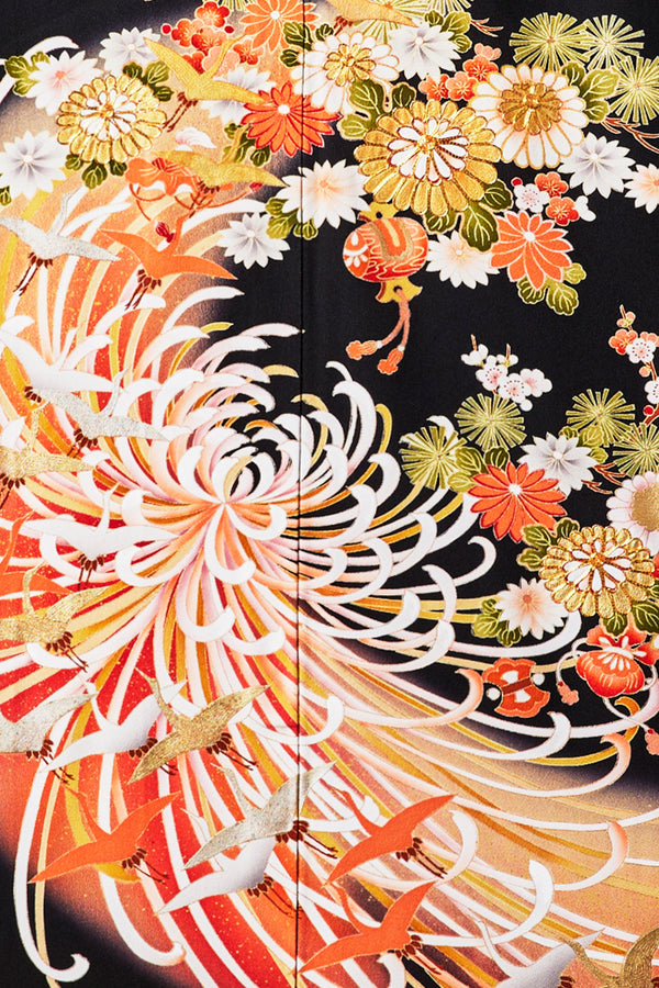 【手ぶらセット】乱菊の舞N007※注文予約商品※